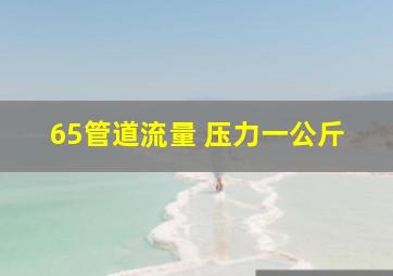 65管道流量 压力一公斤